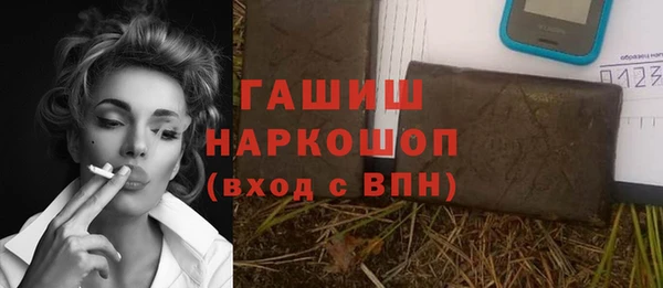 гашик Алексеевка