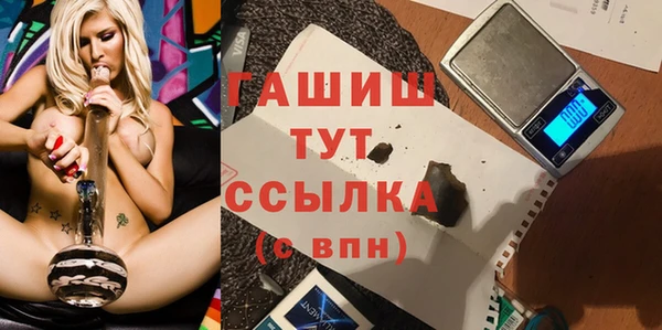 гашик Алексеевка
