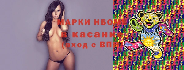 сатива Ростов