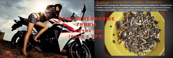 сатива Ростов