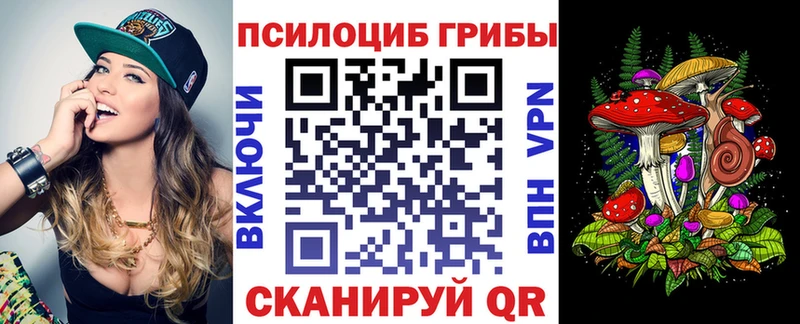 OMG как войти  Крымск  Псилоцибиновые грибы мицелий 