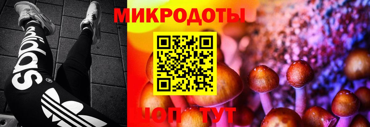 Крымск  Псилоцибиновые грибы MAGIC MUSHROOMS  Вход с VPN 